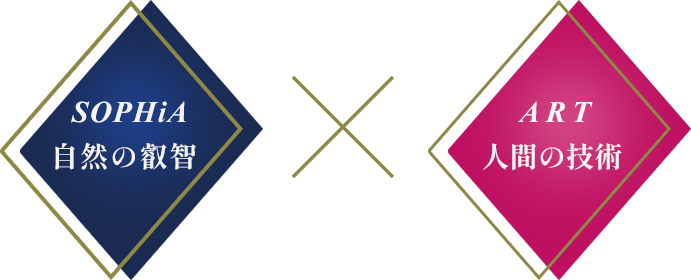 自然SOPHIA × アートART